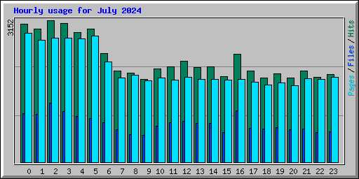 Hourly usage for July 2024