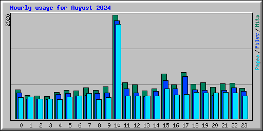 Hourly usage for August 2024