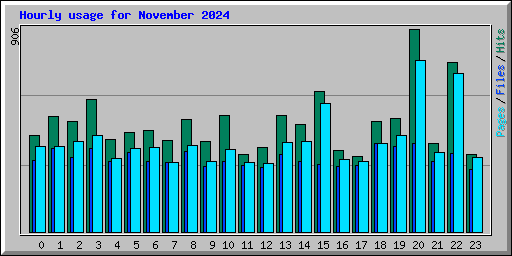 Hourly usage for November 2024