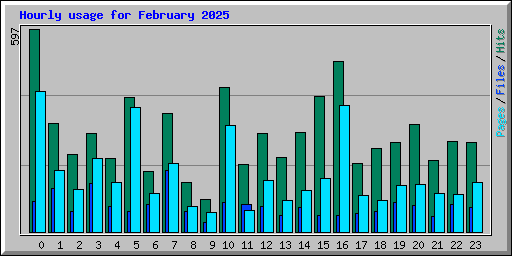 Hourly usage for February 2025