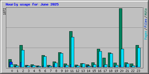 Hourly usage for June 2025