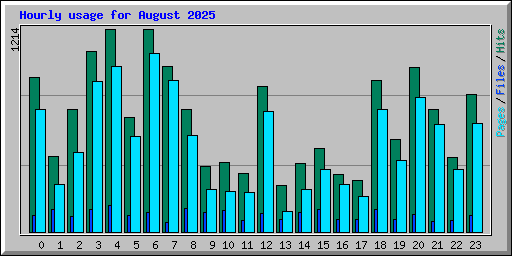 Hourly usage for August 2025