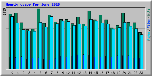 Hourly usage for June 2026