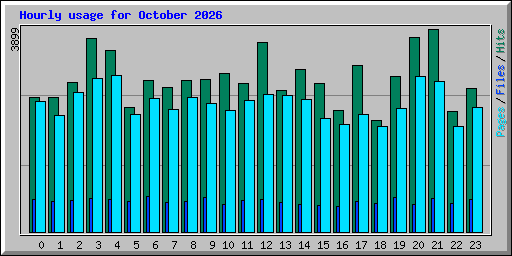 Hourly usage for October 2026