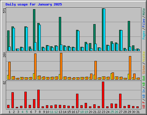 Daily usage for January 2025