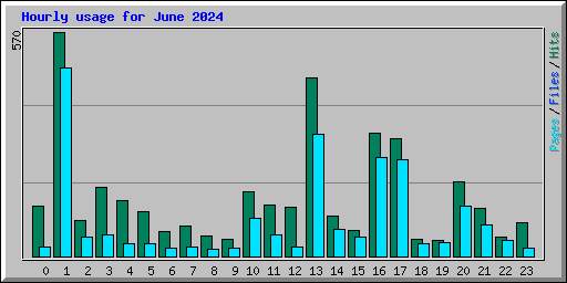 Hourly usage for June 2024