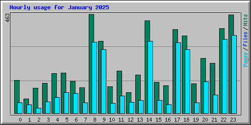 Hourly usage for January 2025