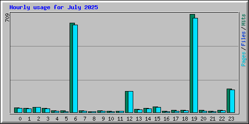 Hourly usage for July 2025
