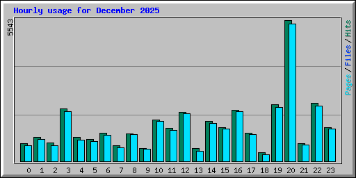 Hourly usage for December 2025