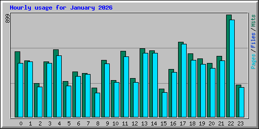 Hourly usage for January 2026