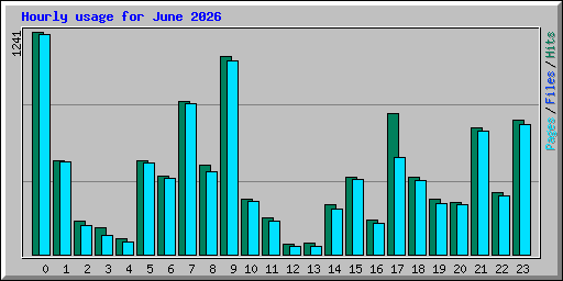 Hourly usage for June 2026