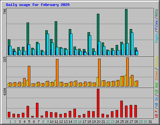 Daily usage for February 2025