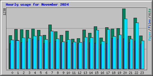 Hourly usage for November 2024