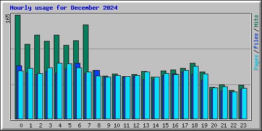 Hourly usage for December 2024