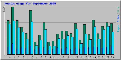 Hourly usage for September 2025