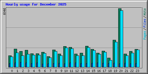 Hourly usage for December 2025