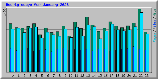 Hourly usage for January 2026