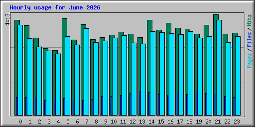 Hourly usage for June 2026