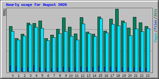 Hourly usage for August 2026